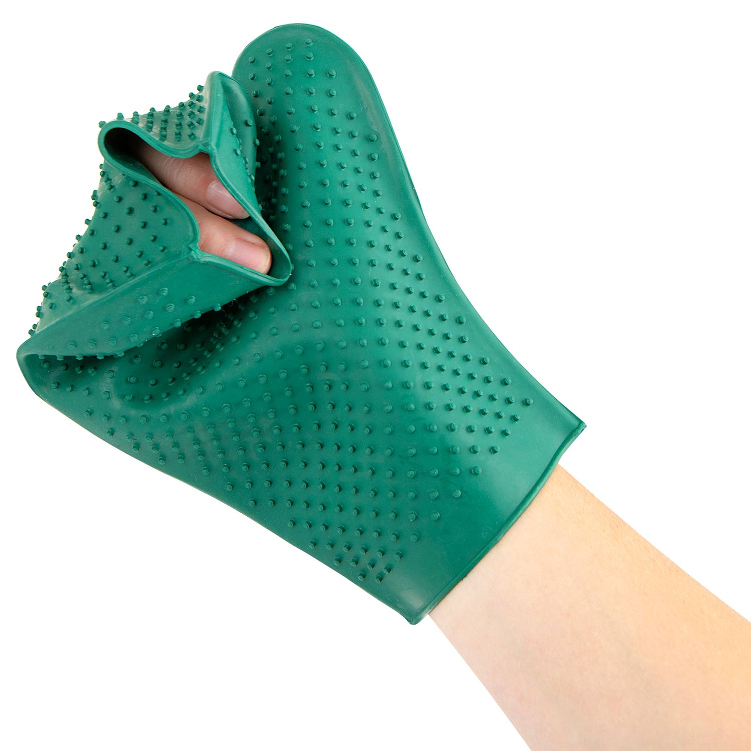 The Grooming Glove